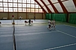 IMG_6918.jpg